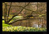 Keukenhof Hollandia 077